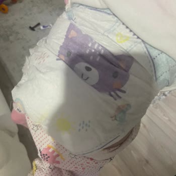 Prima Pişik Ve Bez Dışına Kaçırma