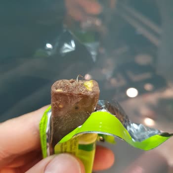 Eti Gıda Eti Antepfıstıklı Çikolatasından (metal Tel Çıktı )