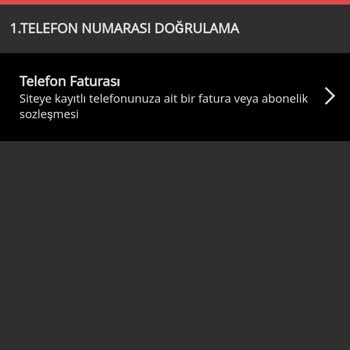 Mobilbahis Telefon Faturası İsteniyor Olmayan Bir Şey Nasıl İstenir