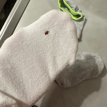 Beko Çamaşır Makinesi Çamaşırları Deliyor