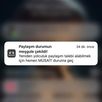 Martı Tag Samimiyetsizliği (Hesabım Engellendi)