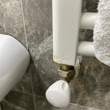 ECA Havlupan Radyatör Çürüdü