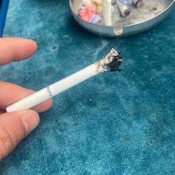 Philip Morris Tütün Kalitesi Çok Kötü.