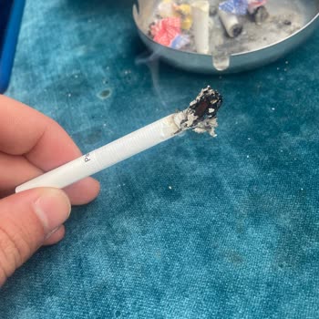 Philip Morris Tütün Kalitesi Çok Kötü.