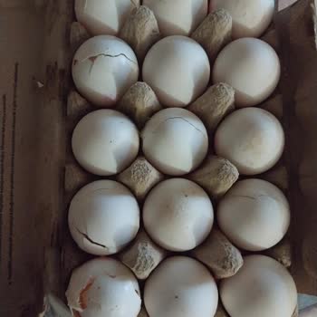 Migros Hemen Hasarlı Ürün Göndermesi Ve Mağdur Etmesi