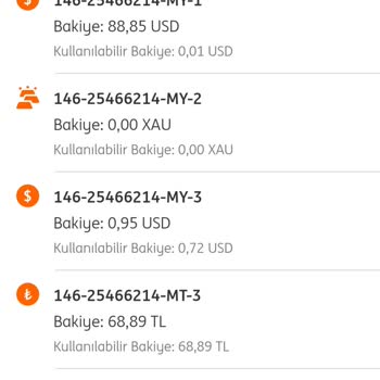 ING Bank Hesap Blokesi Sorunu