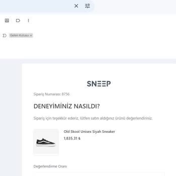 Sneep Tr İnternet Üzerinden Alışverişte Yaşanan Sorunlar Ve Çözüm Önerileri