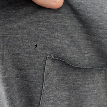 Bosch Çamaşır Makinesi Kıyafetleri Yırtıyor