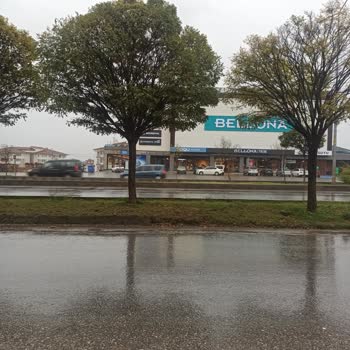 Bolu Belediyesi 14 Numaralı Belediye Otobüsü