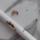 JTI Sigarada Kurt Çıktı