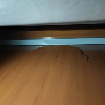 Bellona Dan Sıfır Koltuk Siparişi Verdik, Teşhir Gönderdiler