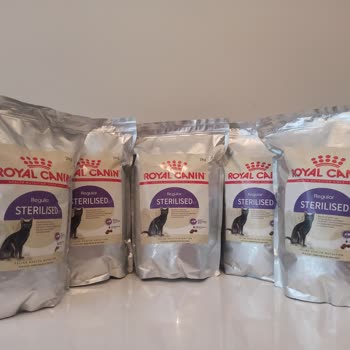 Royal Canin Çiçek Sepetinden Aldığım Kedi Maması