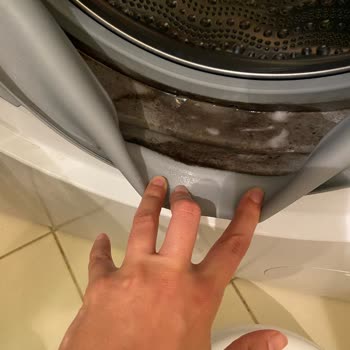 Bosch Çamaşır Makinesi Seri6 Tambur Lastiği Küf Problemi