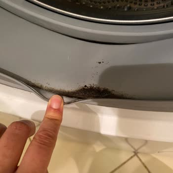 Bosch Çamaşır Makinesi Seri6 Tambur Lastiği Küf Problemi