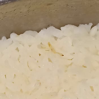 BİM 1kg Pirinç Kurtları