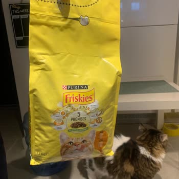 Yemeksepeti Mahalle Son Kullanma Tarihi Geçmiş Ürün Gönderildi, 1 Gündür Değiştirilmedi.