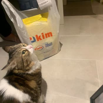 Yemeksepeti Mahalle Son Kullanma Tarihi Geçmiş Ürün Gönderildi, 1 Gündür Değiştirilmedi.