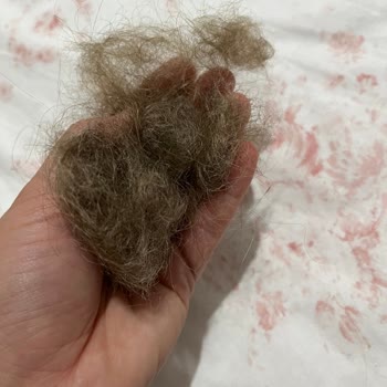 My Style Kuaför Saçlarımı Yaktılar Ombre İstedim Turuncu Yaptılar