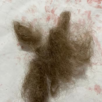 My Style Kuaför Saçlarımı Yaktılar Ombre İstedim Turuncu Yaptılar