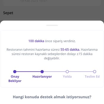 GetirYemek Siparişimin Teslim Edilmemesi
