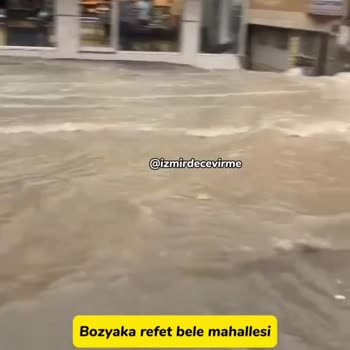Milli Eğitim Bakanlığı (MEB) Ertelenmeyen Direksiyon Sınavı