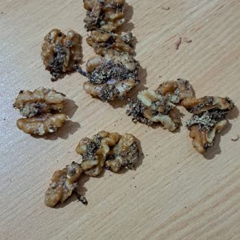 Simbat Cevizde Kurtlu Şok!