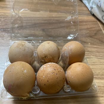 A101 Yumurtası Üzerinde Yanlış Bilgilendirme Ve Yetkili İlgisizliği