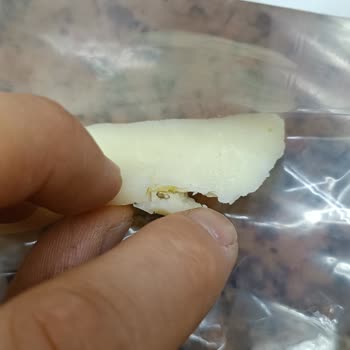 Gürtat Mandıra ve Şarküteri Gürtat Peynirinden Böcek Çıktı