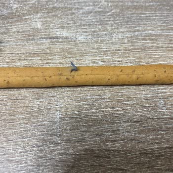 Ülker Grissini'de Şaşırtan Mavi Tüy!