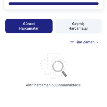 MoneyPay Hazır Limit Ödemesi Sorunu