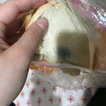UNO Ekmek Marketten Alınan Ekmek Küflü Çıktı