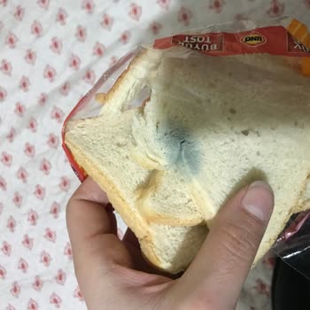 UNO Ekmek Marketten Alınan Ekmek Küflü Çıktı