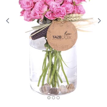 Taze Çiçek (tazecicek.com) Bakımsız Özensiz Çiçek