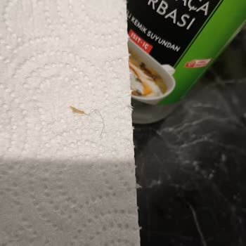 Zelkemiksuyu.com Çorbadan Kıl Çıktı.