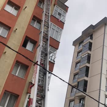 Çoruh Nakliyat, Evden Eve Taşımacılık