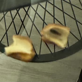 Tatbak Gıda Kuruyemişten Çıkan Kurt