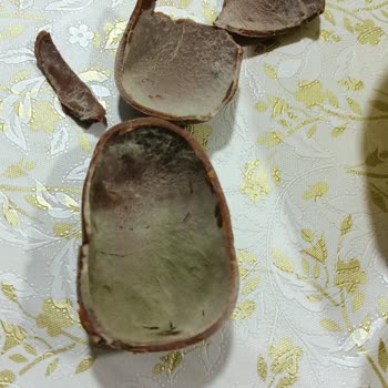 Şok Marketler Bozuk, Tarihi Geçmiş Ürün