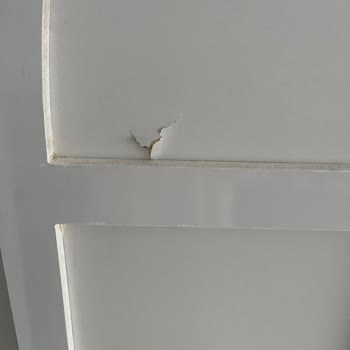 Loyal Logistic Kargo 4 Ay Dir