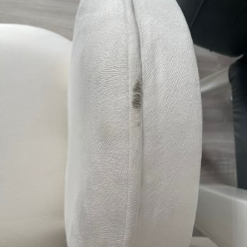 Loyal Logistic Kargo 4 Ay Dir