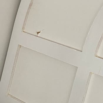 Loyal Logistic Kargo 4 Ay Dir