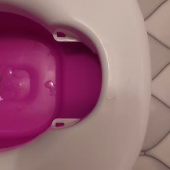 Fisher Price Lazımlık Yedek Parça