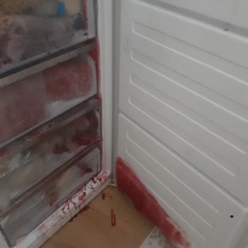 Simfer Dondurucu Bozuk Buzlanma Yapıyor