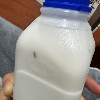 Açılmamış Sütaş Ayran İçinde Bilinmeyen Siyah Bir Cisim