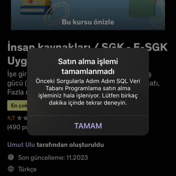 Udemy Ödeme Problemi Yaşıyorum