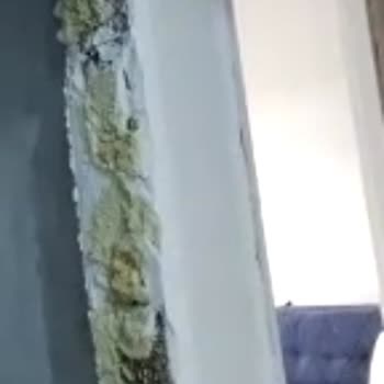 Bursa&Eskişehir Cesa Door Kapı Firması Sorun Yaşama