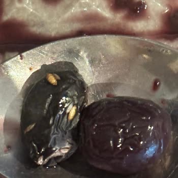 MarmaraBirlik Zeytin Kutusu İçinde Ki Böcekler!