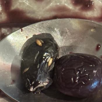 MarmaraBirlik Zeytin Kutusu İçinde Ki Böcekler!
