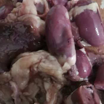 Şok Marketler Badi Piliç. Ciğer!