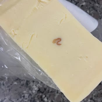 Tarım Kredi Tedarik ve Üretim Tarsüt Kaşar Peynirinden Çıkan Cismin Ne Olduğunu Anlayan Var Mı?