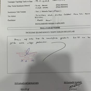 Martı Moped Aracımın Üzerine Devrilmiş